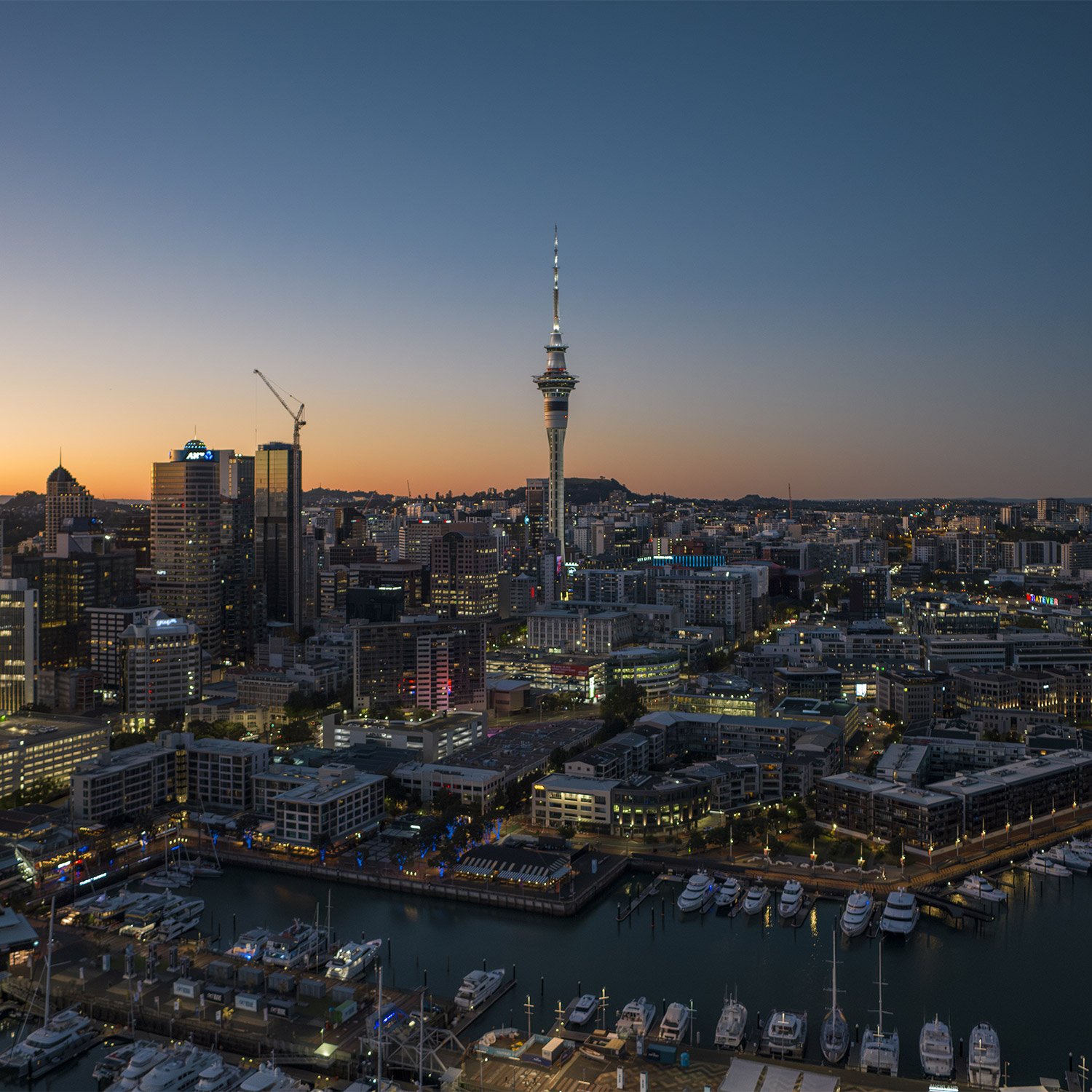 Auckland City Skyline. Photo: Tourism New Zealand