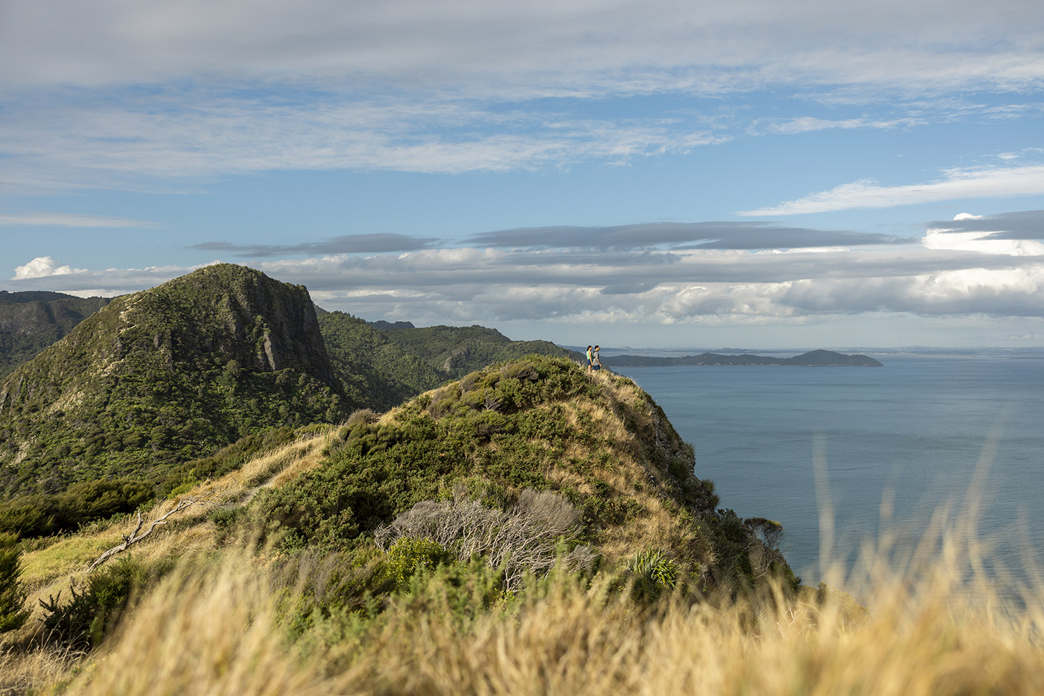 550837-waitakere-ranges-auckland-photo-Miles-Holden-1500px Waitākere Ranges, West Coast, Auckland. Photo: Miles Holden