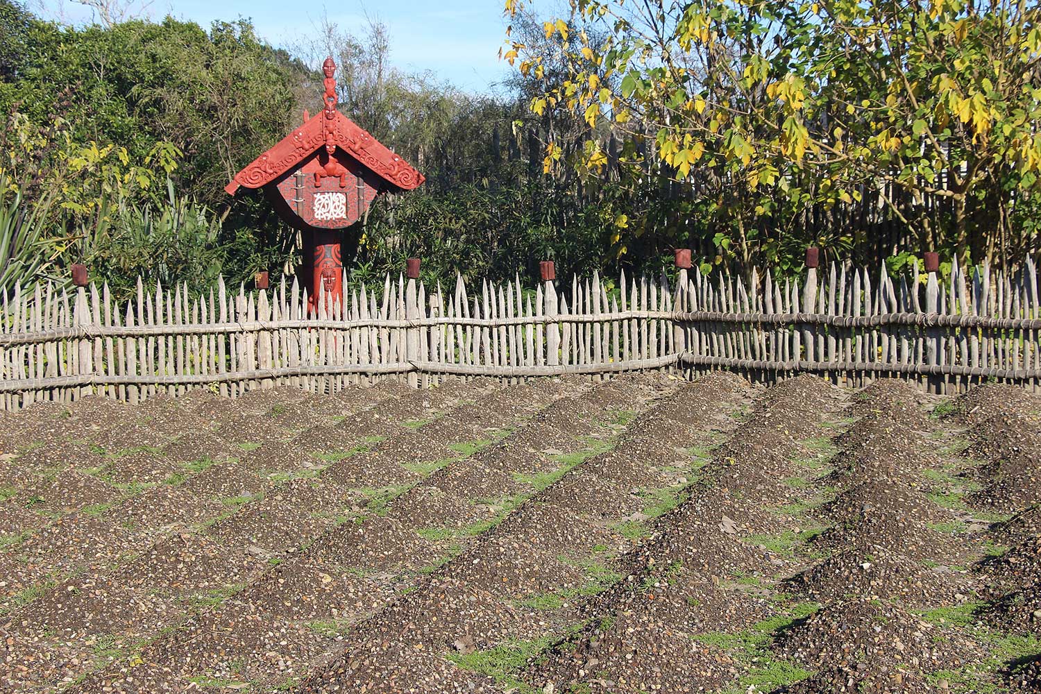 Te Parapara Māori Garden, Hamilton Gardens, Aotearoa New Zealand. Photo: Podzemnik, Wikipedia Te Parapara Māori Garden, Hamilton Gardens, Aotearoa New Zealand. Photo: Podzemnik, Wikipedia