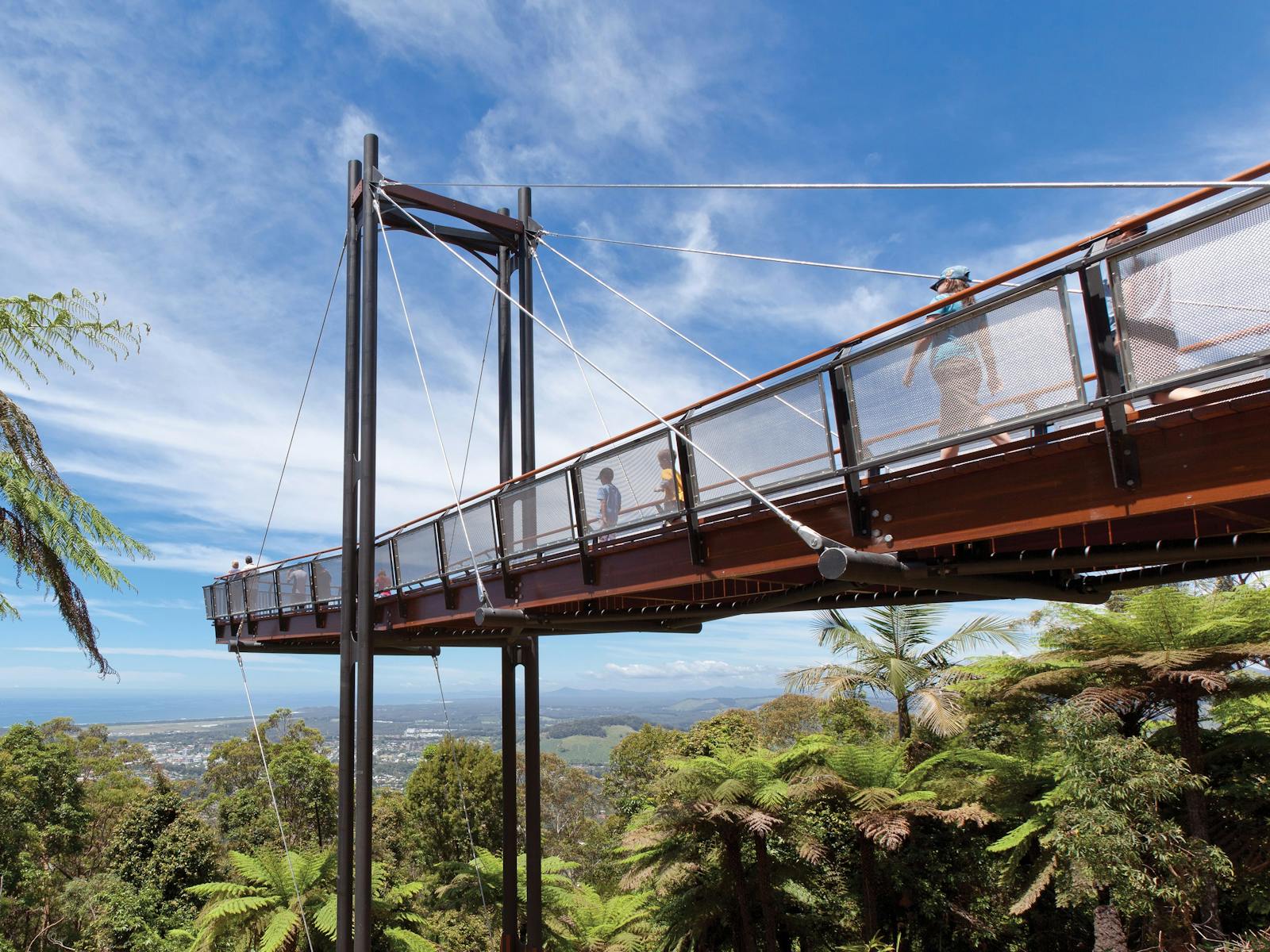 Coffs Harbour Forest Sky Pier Photo: VisitNSW MONDUMO Coffs Harbour Forest Sky Pier VisitNSW