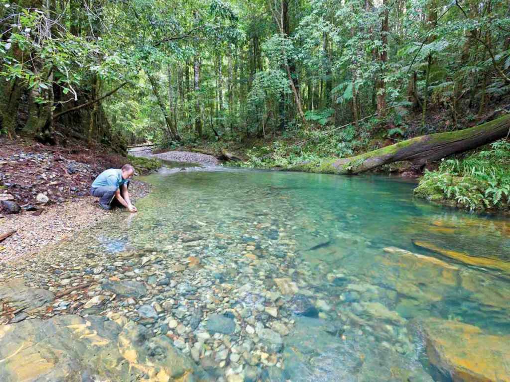 Rosewood Creek Walking Track. Photo: VisitNSW